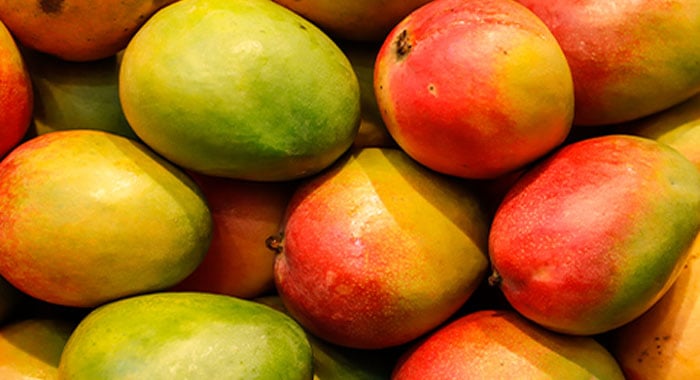 NAFDAC seizes truckloads of carbide-ripened mangoes in Gombe