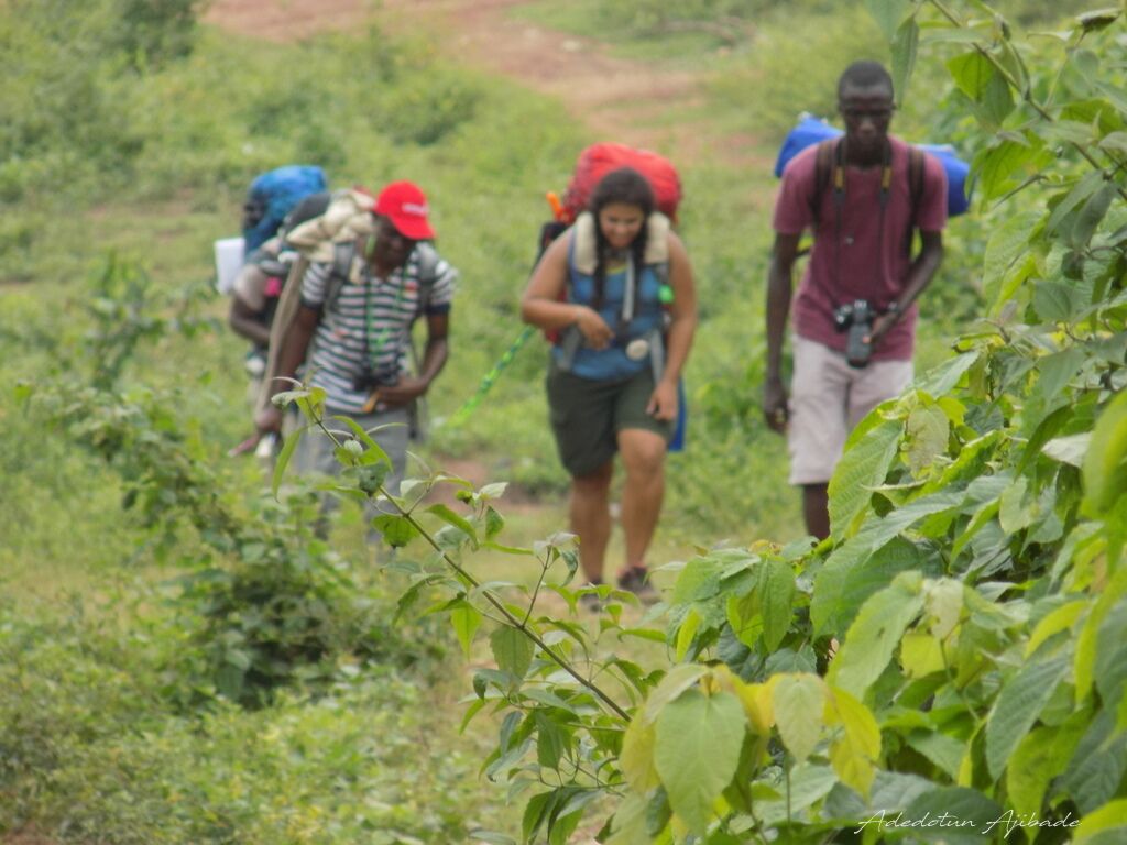 FCT Police releases guidelines for camping, hiking activities | The Guardian Nigeria News