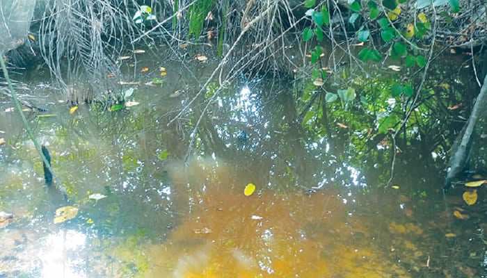 Women bear the brunt of water shortage, rising tides in Akwa Ibom community