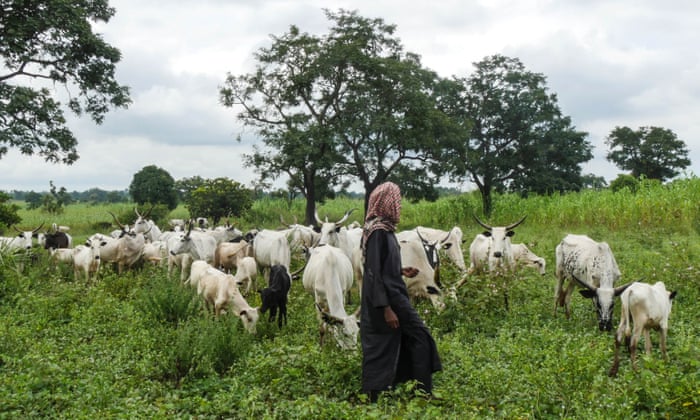 Group condemns herders’ attacks in Imo, Benue, urges swift justice for victims