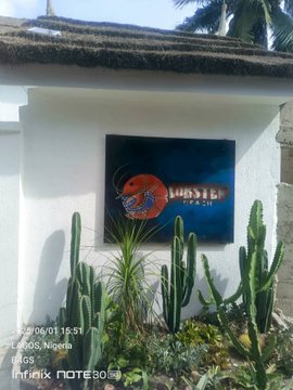 Lagos closes beach club over noise pollution, other violations