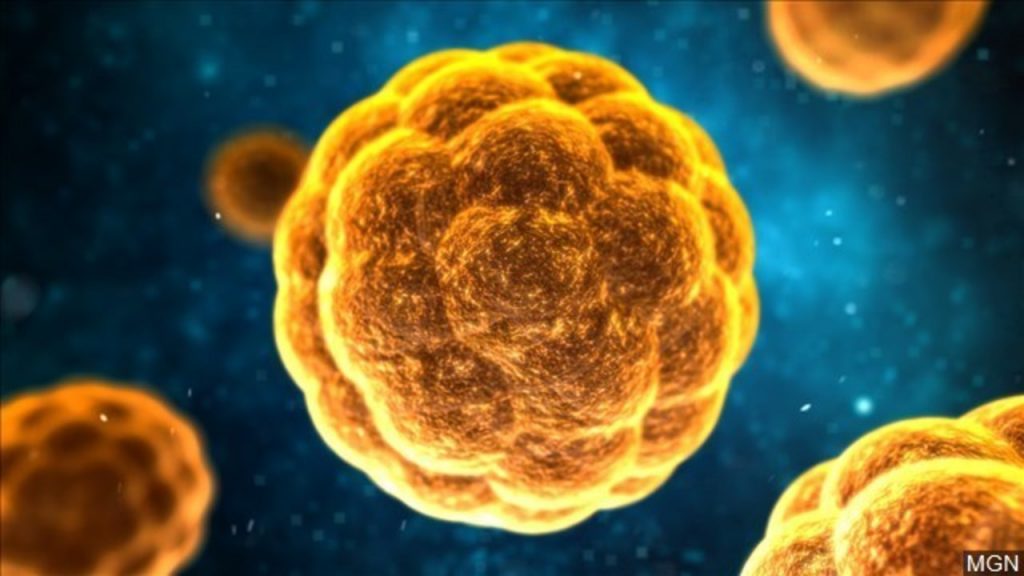 Kano declares hepatitis a major health burden amid 1.2m infections