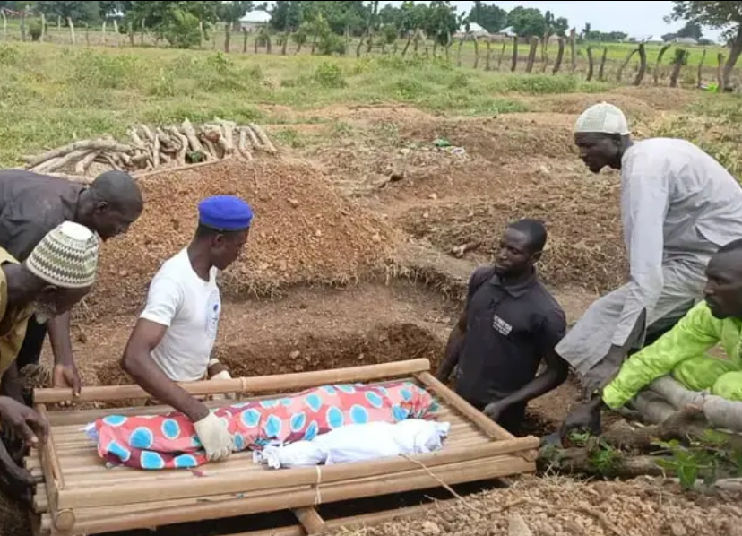 29 dies in Niger boat mishap