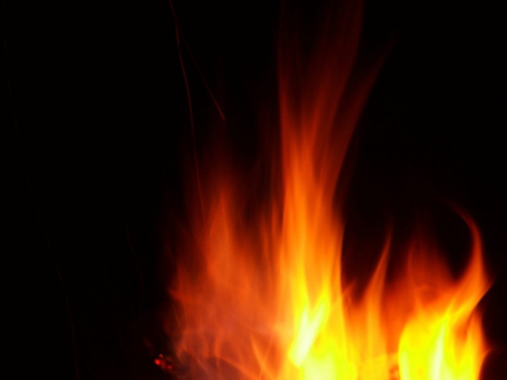 five resuscitated, four still in coma