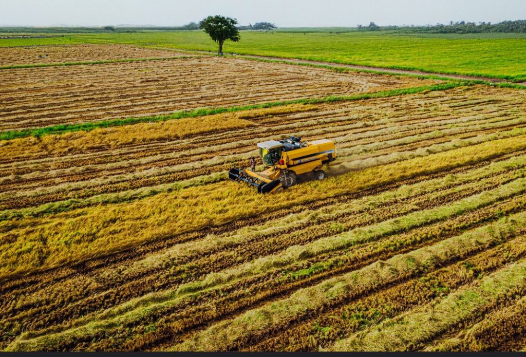 SAPZ strengthens 1,445 Kano households with toolkits for gardening