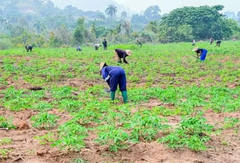 Minister distributes farm inputs to Zamfara farmers