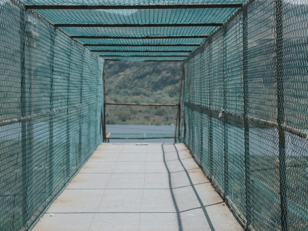 Top Benefits of Installing a Mesh Entry Barrier