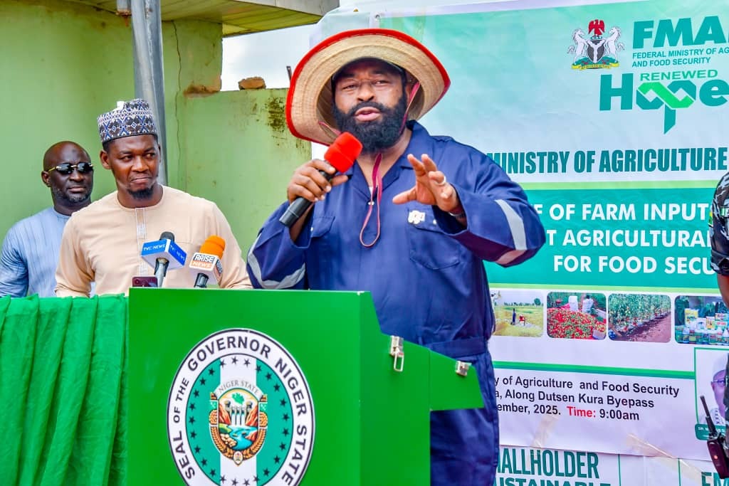 Informants enabled attacks on schools, says Niger gov