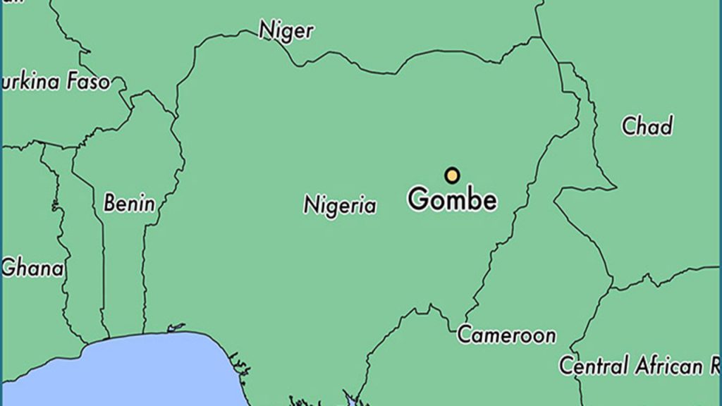 Watchman allegedly kills Gombe government house staff