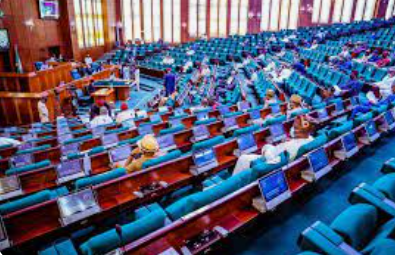 Reps approve 10-year jail, N75m fine for electoral forgery