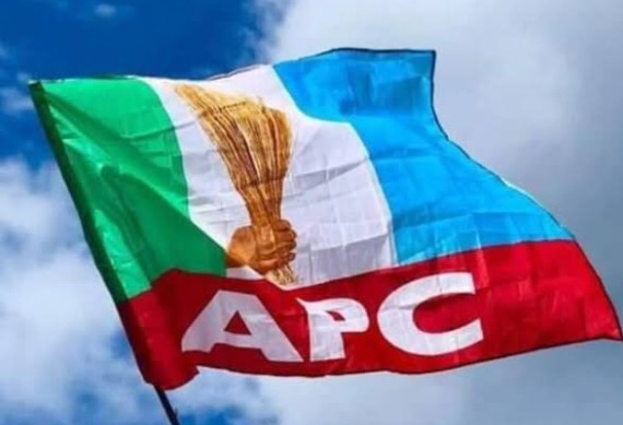 APC Forum warns against perceived usurpation of Gov Otu’s powers by aides