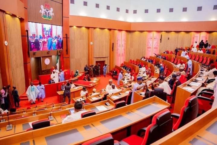 Senate orders nationwide crackdown as lead poisoning hits Lagos