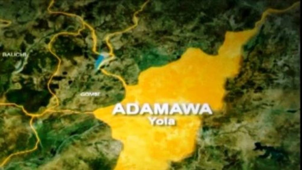 Three Women Killed in Adamawa Communal Clash