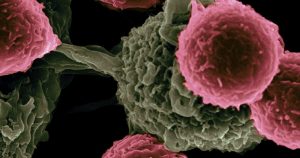 New Australian research offers hope for rare blood cancer patients