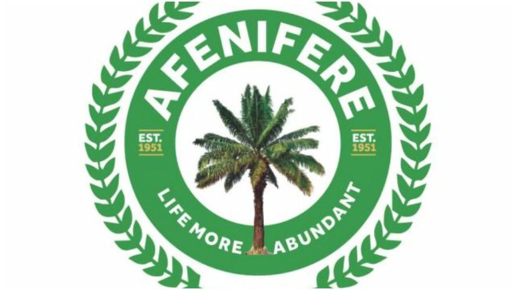 Afenifere slams terror attacks, kidnappings in Kwara