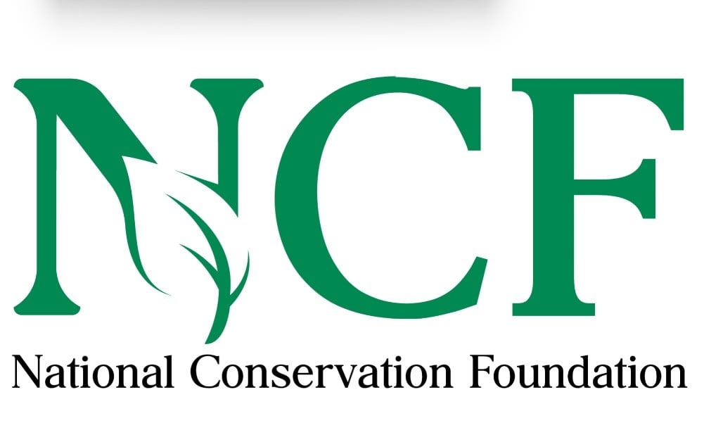 Nigeria lost 90% of forest cover in 30 years, NCF warns