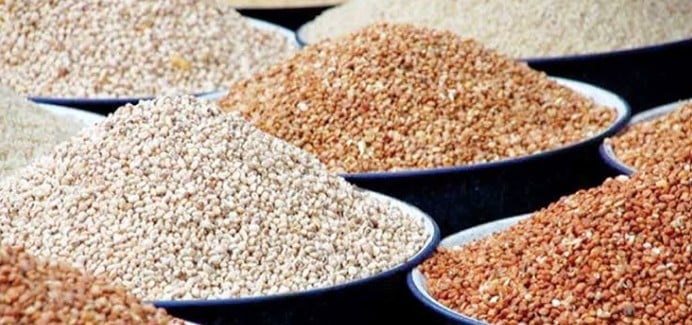 Many unaware beans contain more carbohydrates than protein, say nutritionists