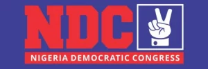 NDC Disowns Fake Candidates’ List Circulating Online