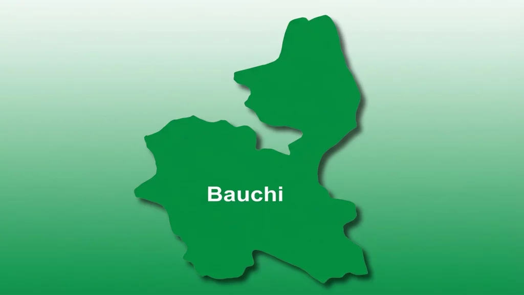 Panic in Bauchi Community as Gunmen Slaughter 33-Year-Old Man