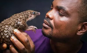 Snake Protection Laws Needed to Curb Lassa Fever, Expert Say