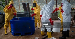 NDLEA Destroys $360m Drug Lab Linked to Mexicans in Ogun