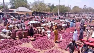 Nigerian Onion Trucks Seized in Ghana: Traders Seek FG Inter