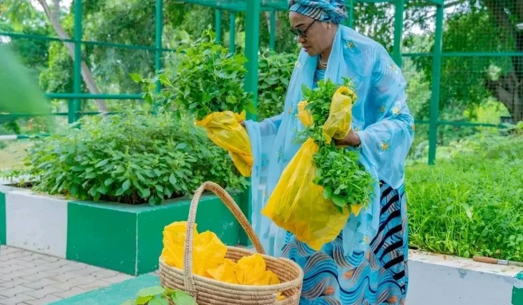 Oluremi Tinubu harvests vegetables from Villa garden