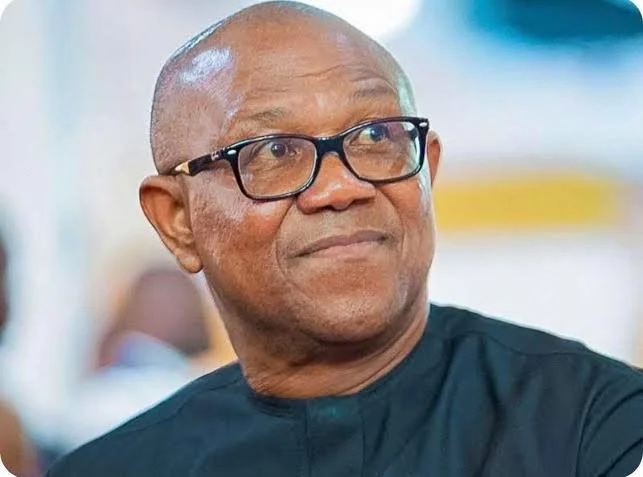 Peter Obi’s Transparency Earns Respect, Says Kano Gov Candid