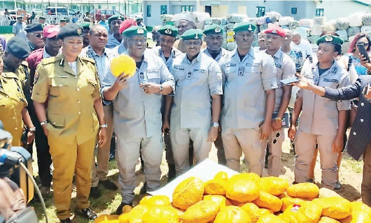 Customs hand over N53.39bn seized drugs to NAFDAC, NDLEA
