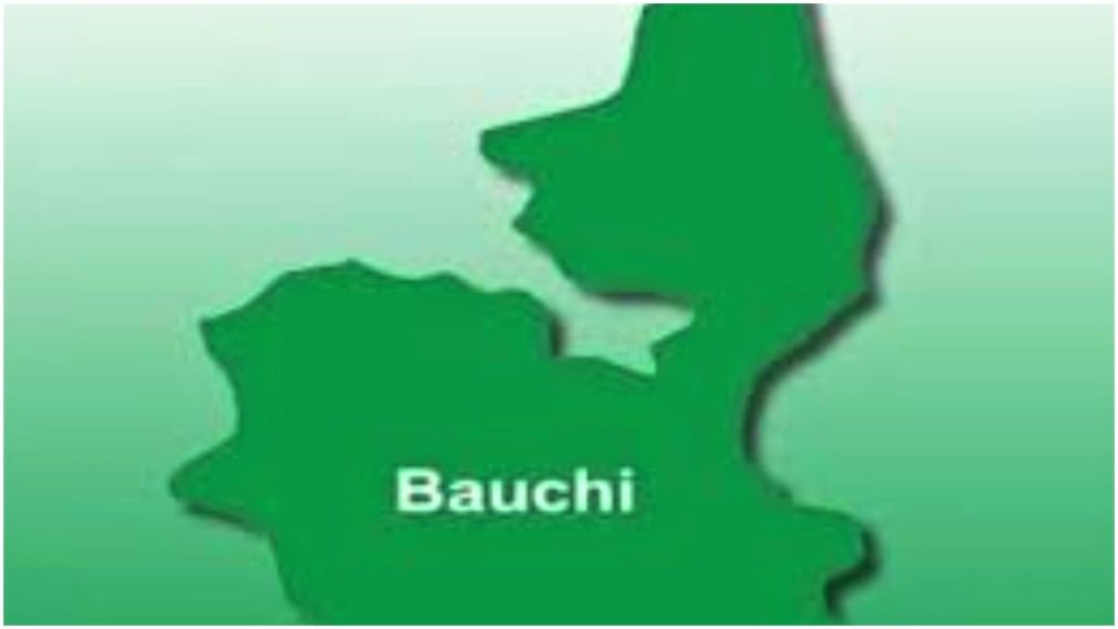 Windstorm kills two children sheltering under trees in Bauchi