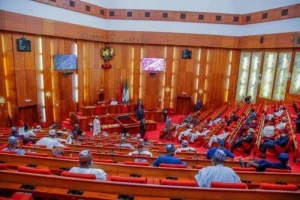 Northern Senators Renew Call for State Police in Nigeria