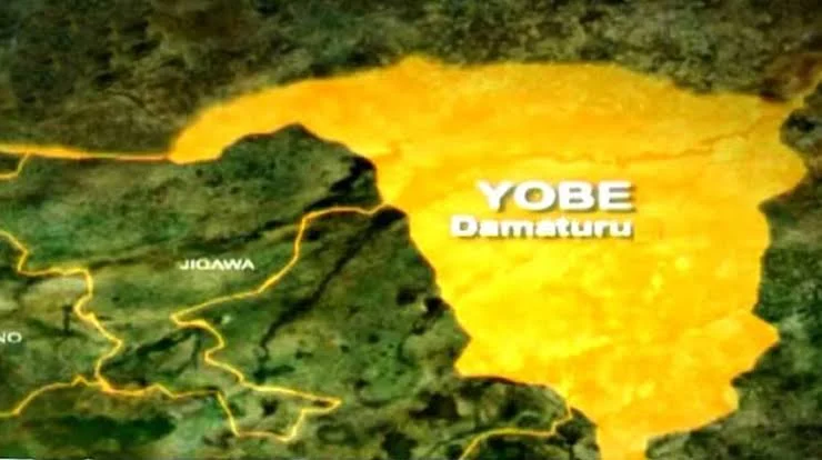 Yobe Fire Destroys Settlement, Kills Woman, Three Children