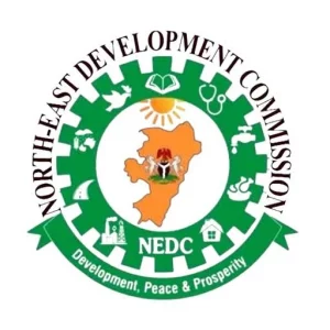 NEDC installs solar power systems in Adamawa LGAs