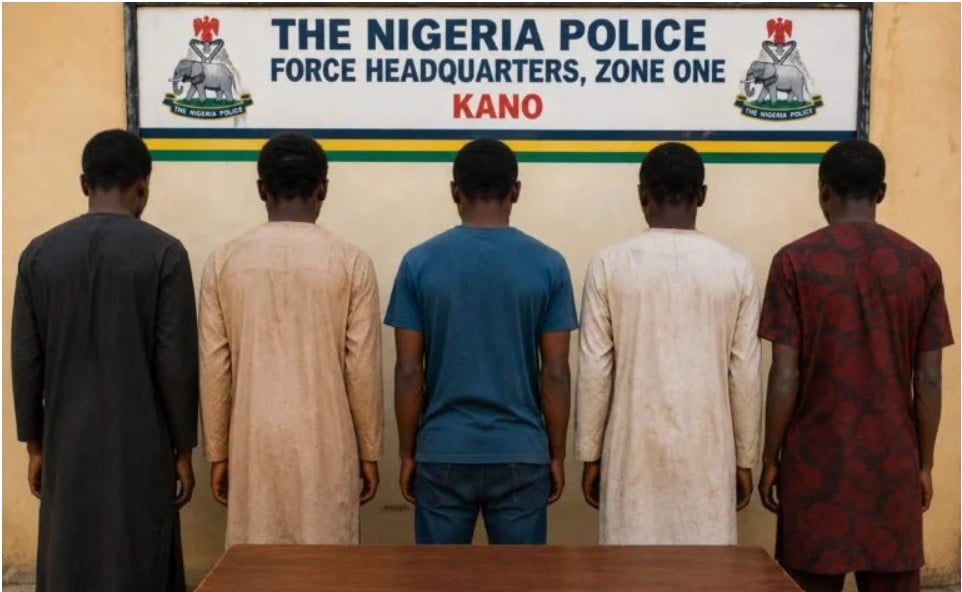 Police arrest five over fake herbal medicine, impersonation in Kano