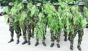 Embrace discipline, professionalism, army tells young soldie