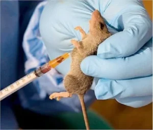 Deaths Hit 252, Cases Rise to 1,035