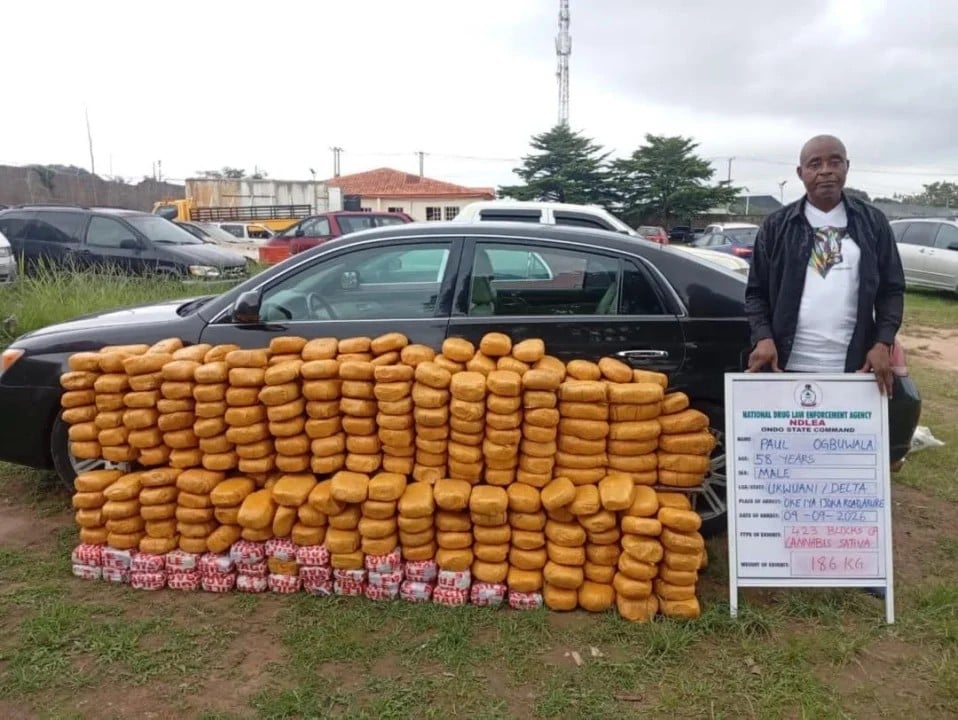 NDLEA seizes UK-bound cannabis, drugs hidden in bread, speakers