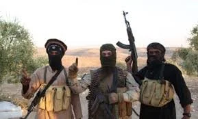 Troops nab six kidnappers in Adamawa, terrorist surrenders