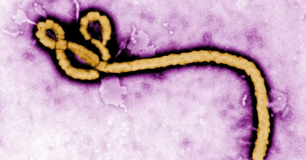 WHO begins Ebola vaccine trial in DR Congo
