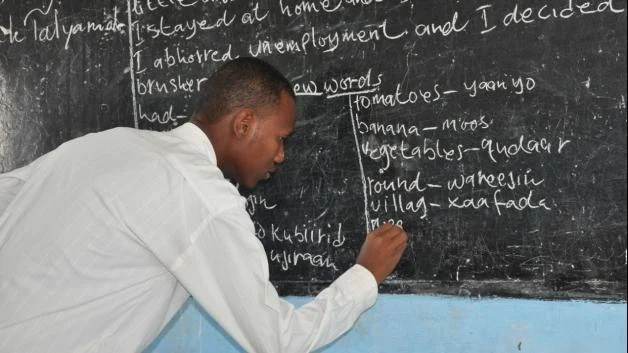 Teachers lack training for autistic, ADHD pupils – Experts