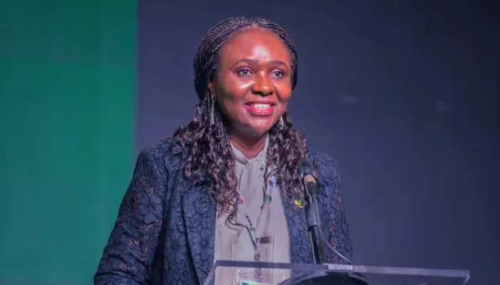 FG opens 2026 oil bid, offers 40 blocks to investors