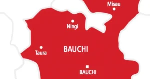 Stepmother, 19-year-old arrested over Bauchi children’s deat