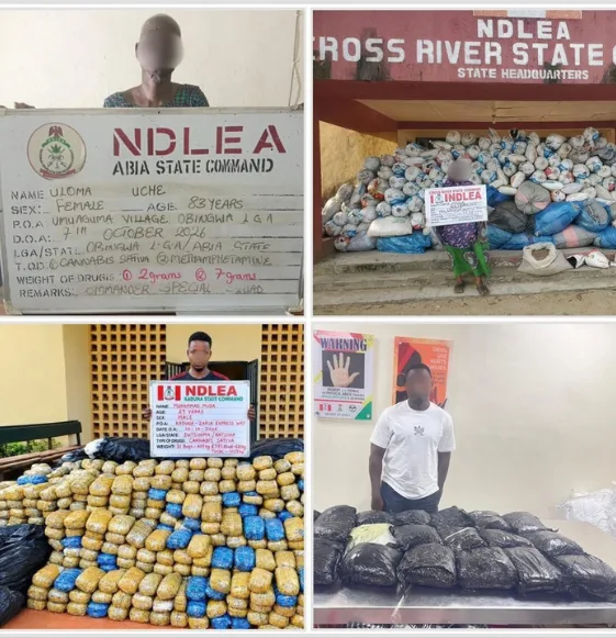 NDLEA rearrests 83-year-old grandmother with drugs in Abia
