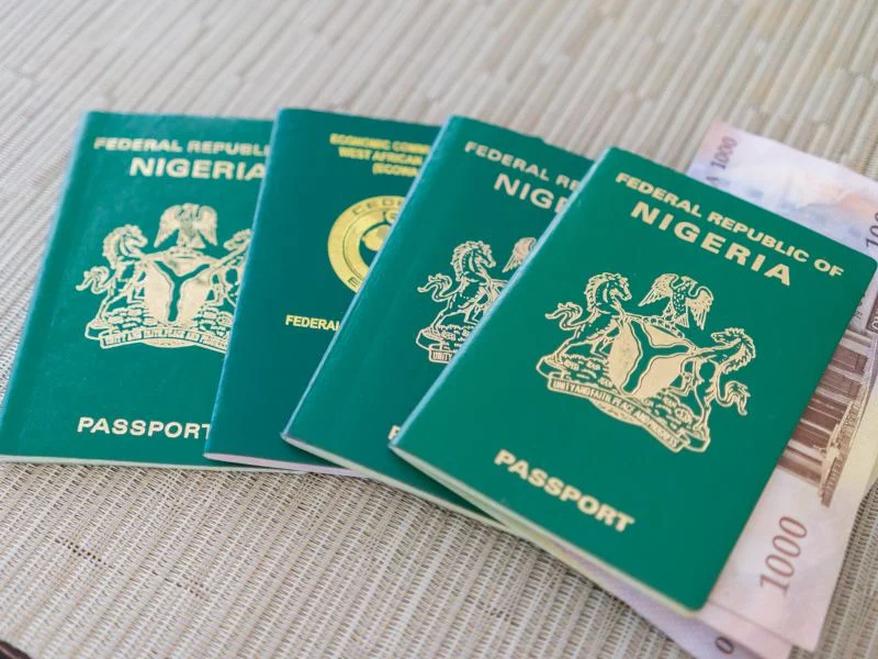 NIS enrols 14,312 Nigerians in UK passport intervention